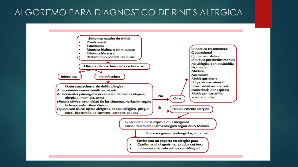 Antihistaminicos En Rinitis Alergica Ppt Descargar